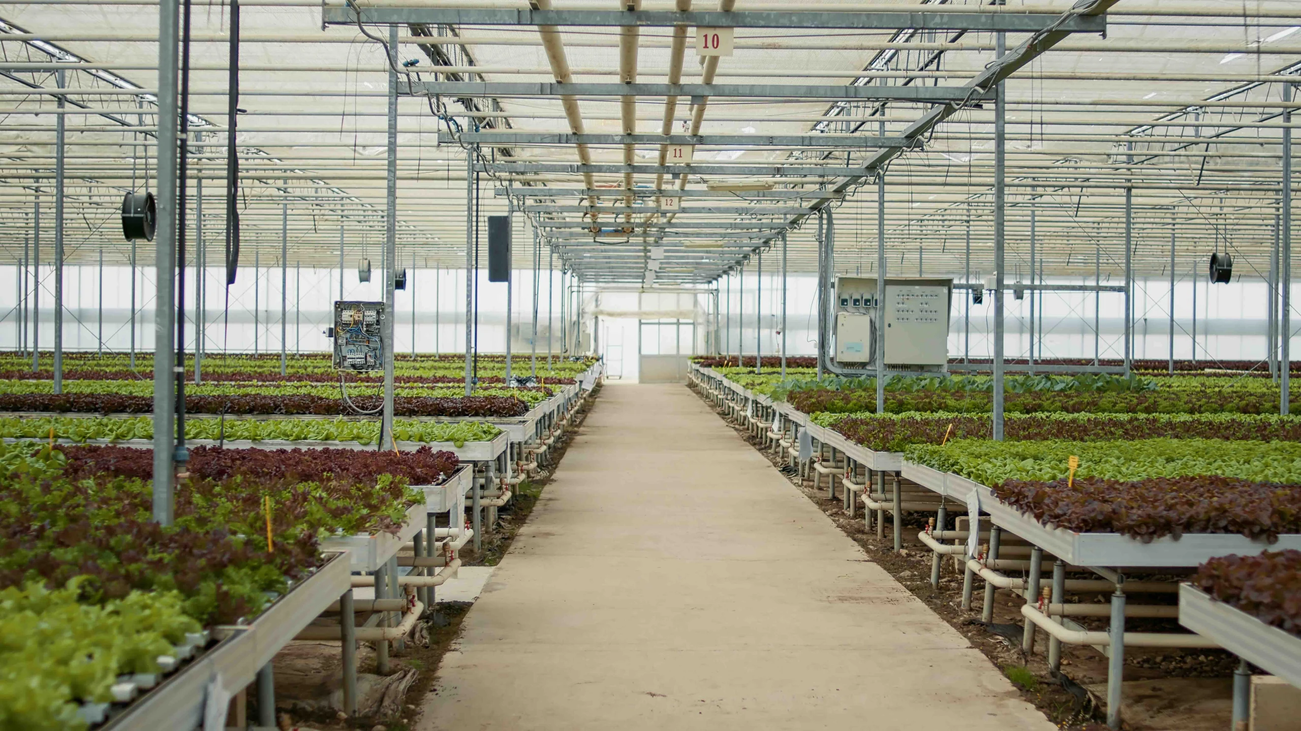 Nursery
